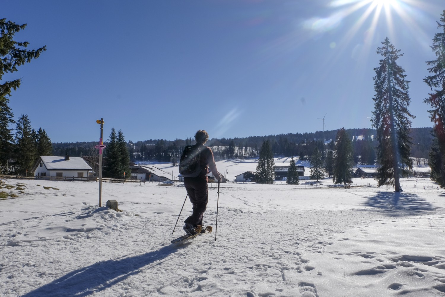 Weite, Sonne und Wind: Das ist Schneeschuhwandern in den Freibergen. Bild: Elsbeth Flüeler