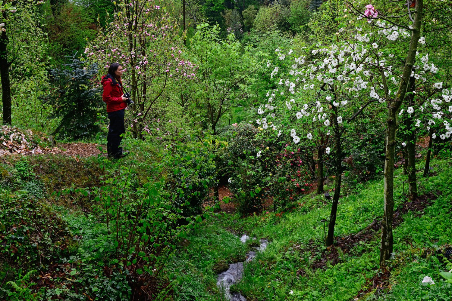 Hier lässt es sich länger verweilen, bevor man sich auf die Wanderung begibt. Foto: natur-welten.ch