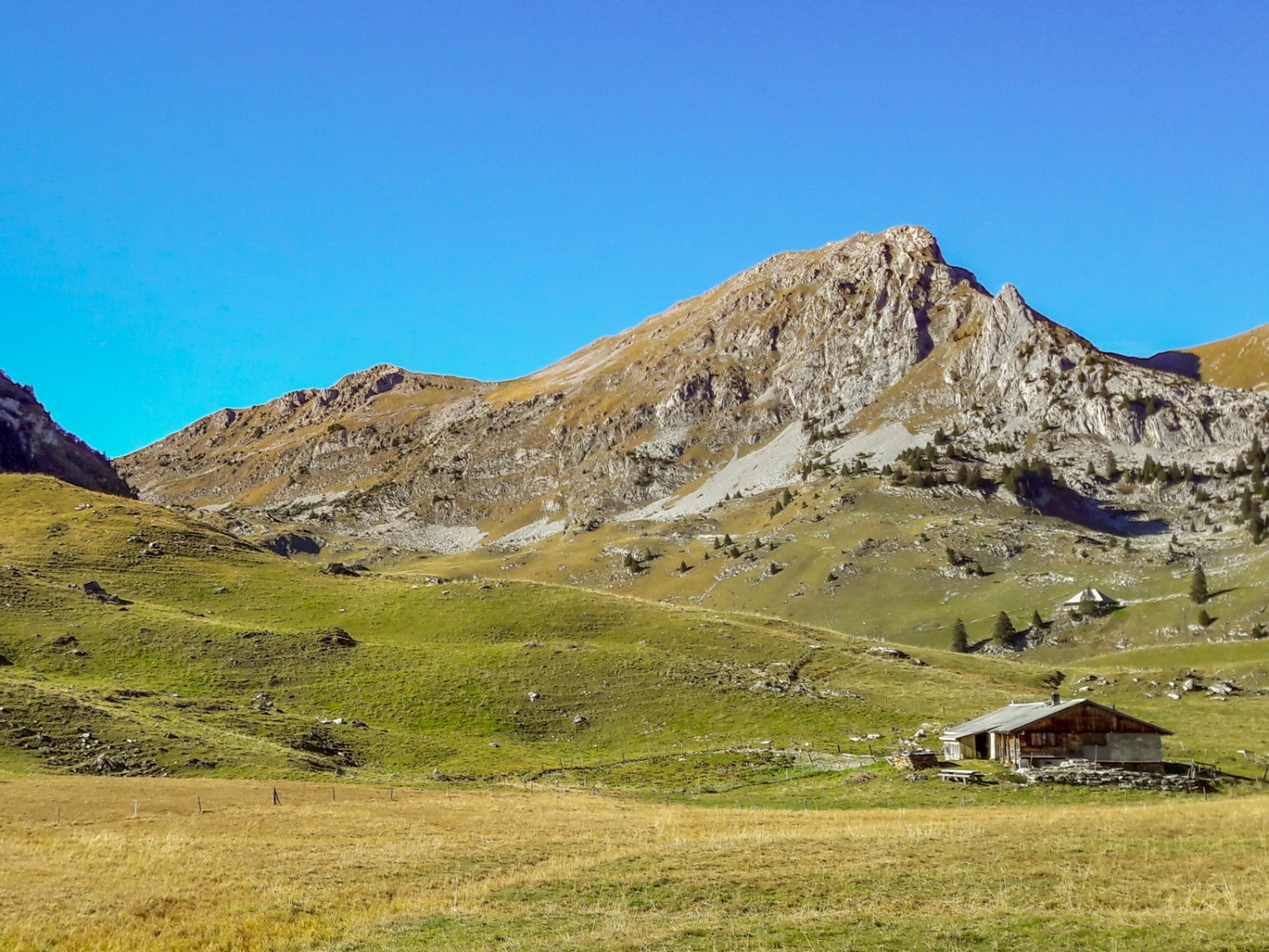 Bei der Alp Vordere Walop beginnt der zweite Aufstieg. Bild: Patrick Salzmann