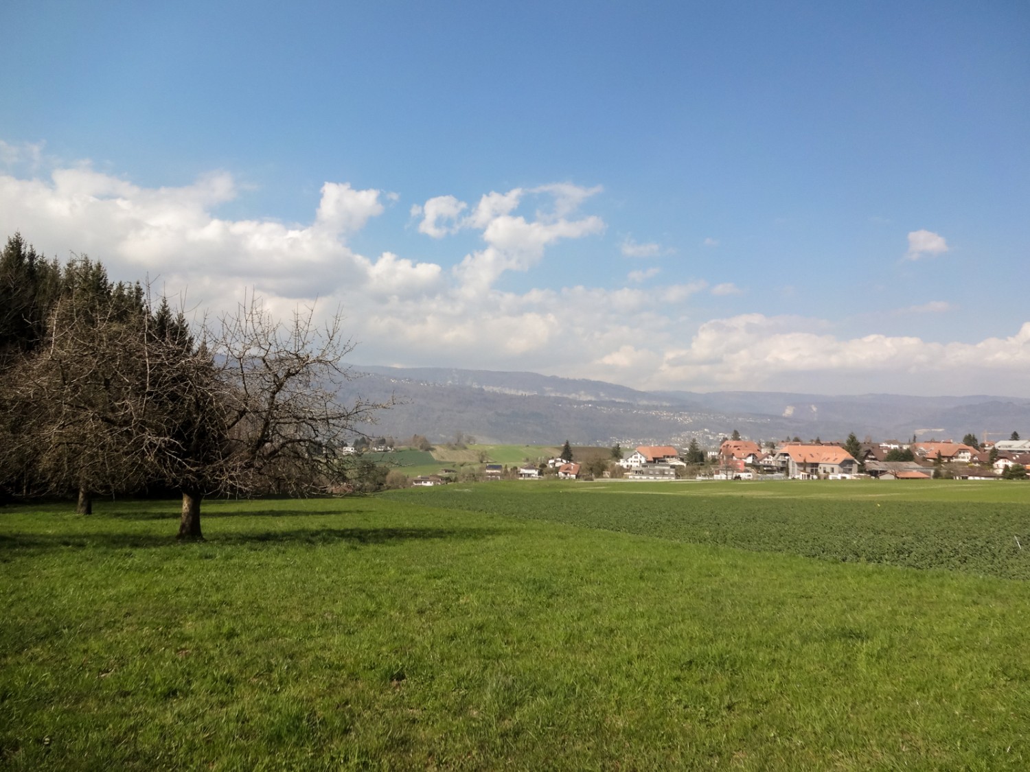 Vue sur Belmont et la chaîne du Jura. Photo: Miroslaw Halaba
