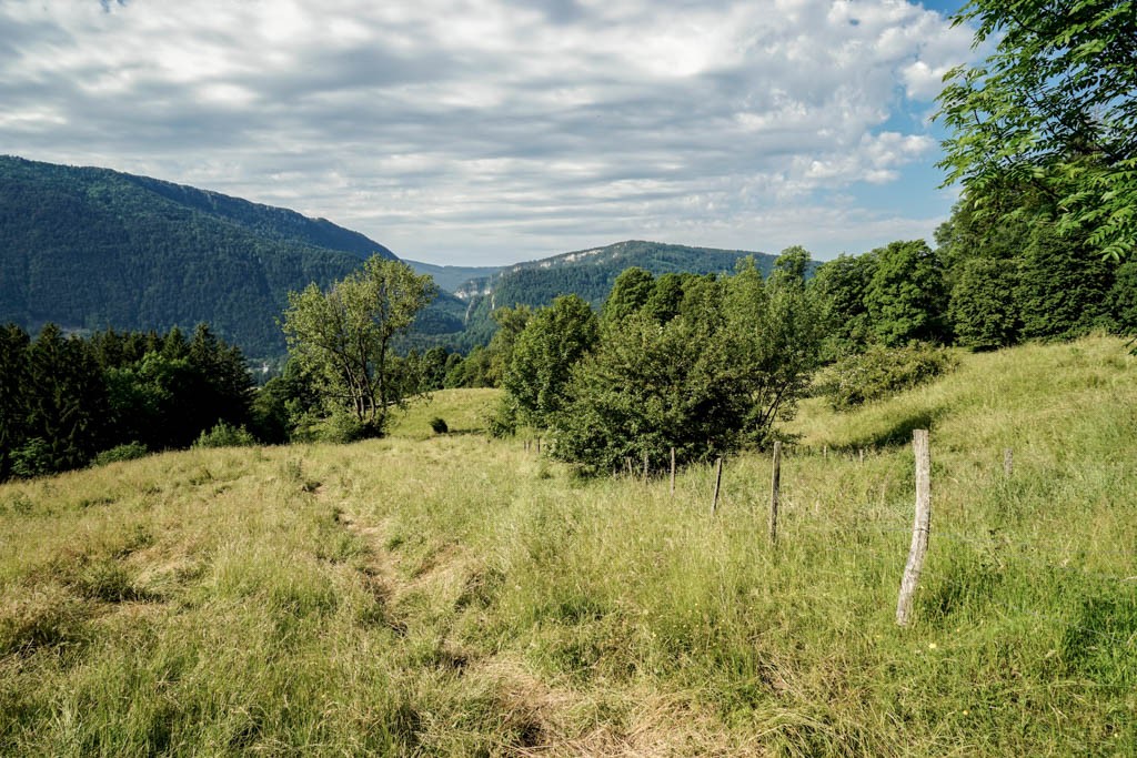 Schöner Wegabschnitt oberhalb Moutier, wo jedoch kaum eine Spur zu sehen ist. Im Hintergrund die Gorges de Court. Bild: Fredy Joss