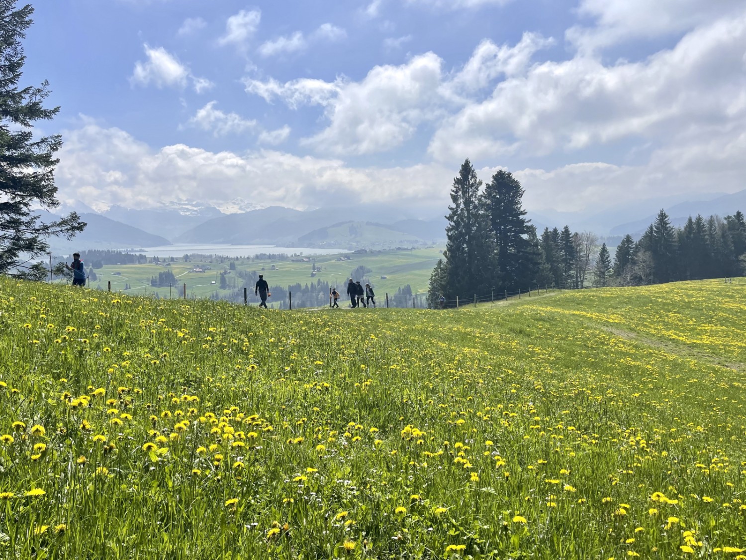 Durante la salita dal ristorante Büel si vede il lago di Sihl. Foto: Michael Roschi