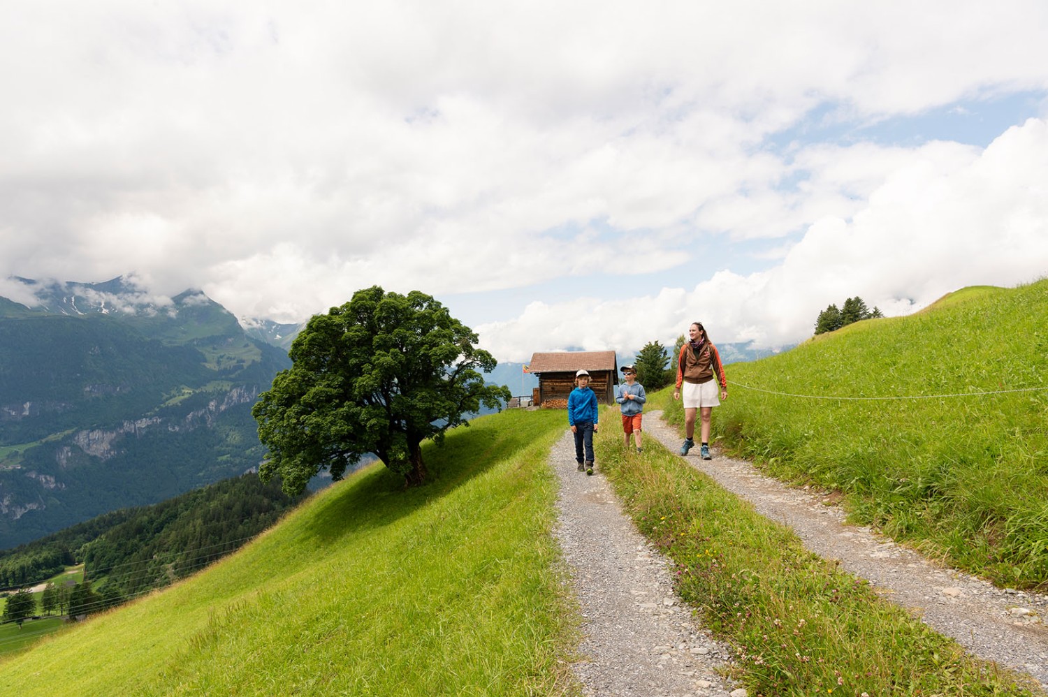 Un chemin panoramique longe la pente. Photo: Raja Läubli