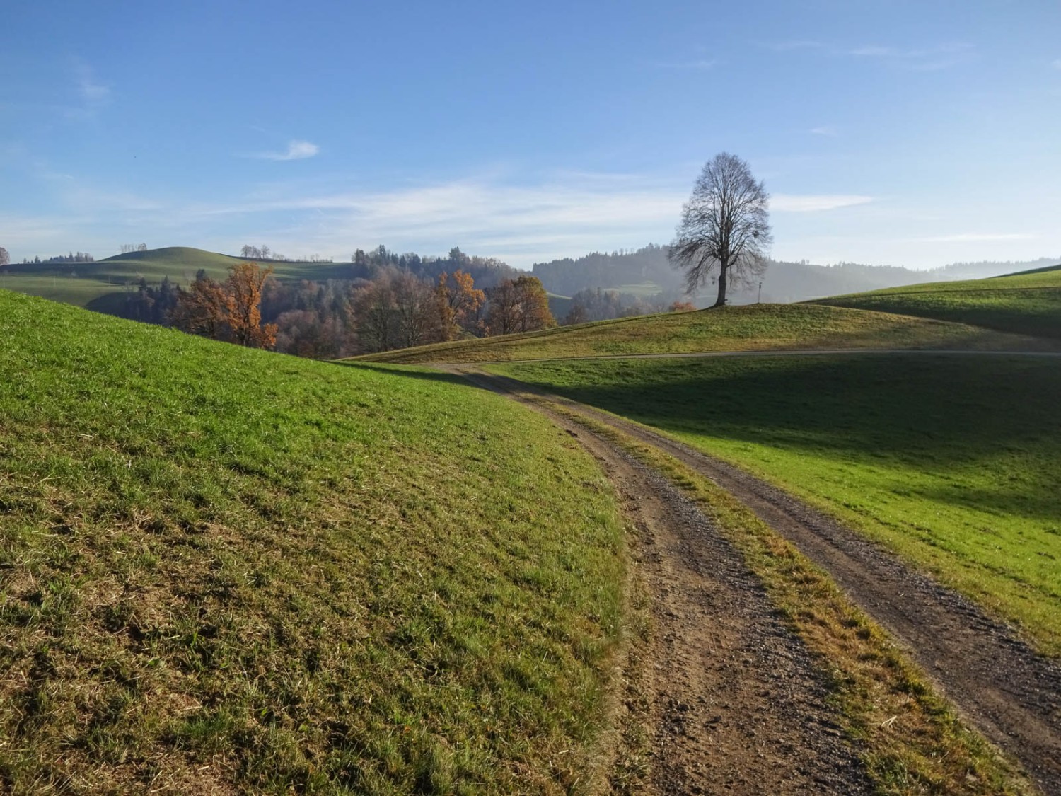 Die abgerundeten Hügel machen den Charakter dieser Region um den Hegewald aus. Bild: Miroslaw Halaba