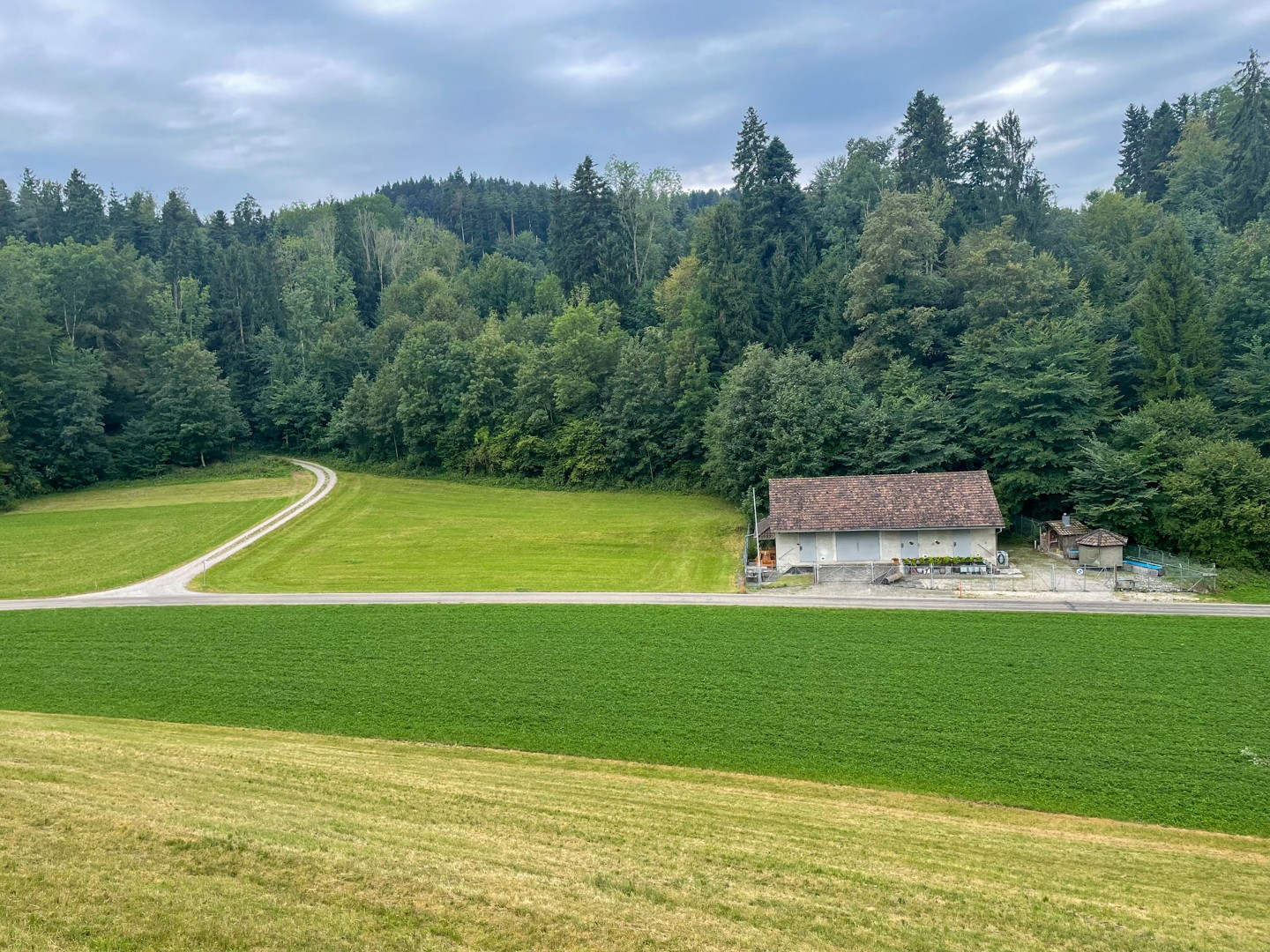 Théâtre de l’histoire: un traître à la patrie fut exécuté près de Seewadel. Photo: Rémy Kappeler