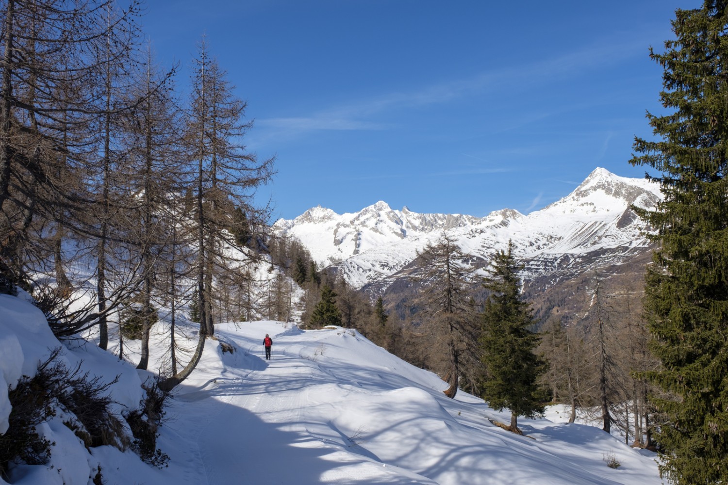 Lustwandeln mit Blick zu Pizzo Lucendro, Pizzo Rotondo und Chüebodenhorn. Bild: Iris Kürschner