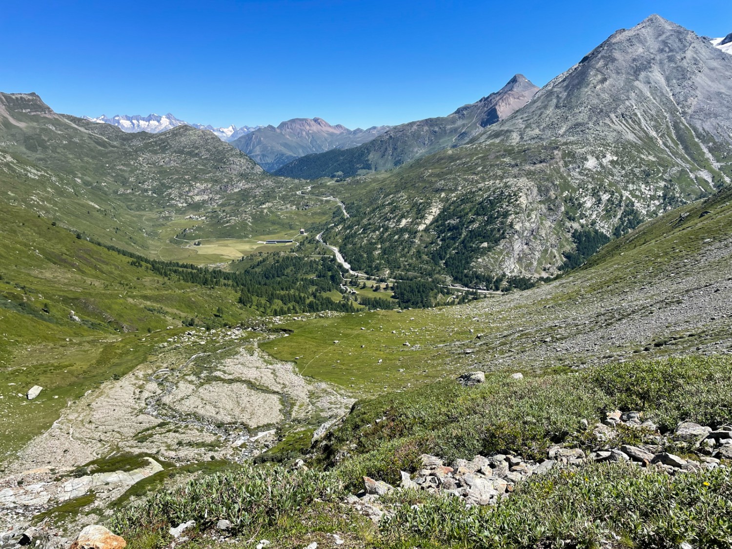 Blick vom Sirwoltusee aus auf den Simplonpass. Bild: Rémy Kappeler