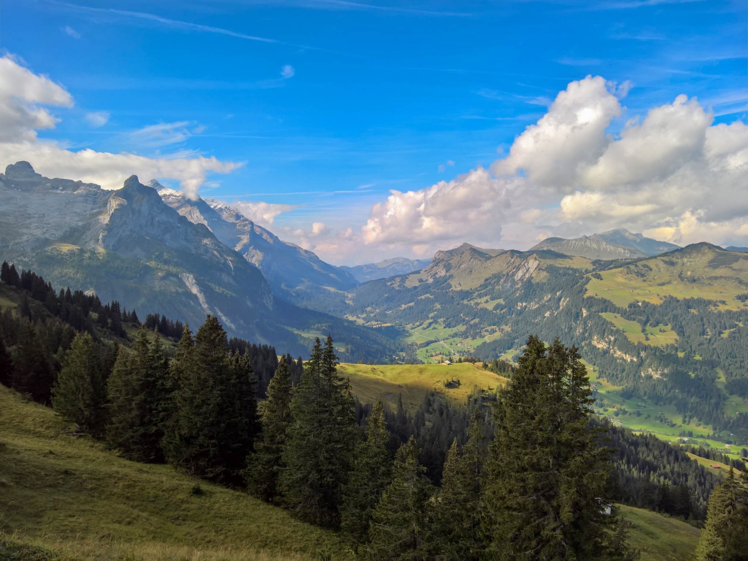 Vue sur le Col de Pillon. Photo: Andreas Staeger