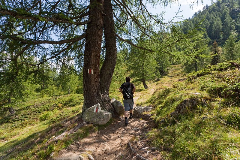 Auf der Strada degli Alpi Bedretto. Foto: Leventina Turismo