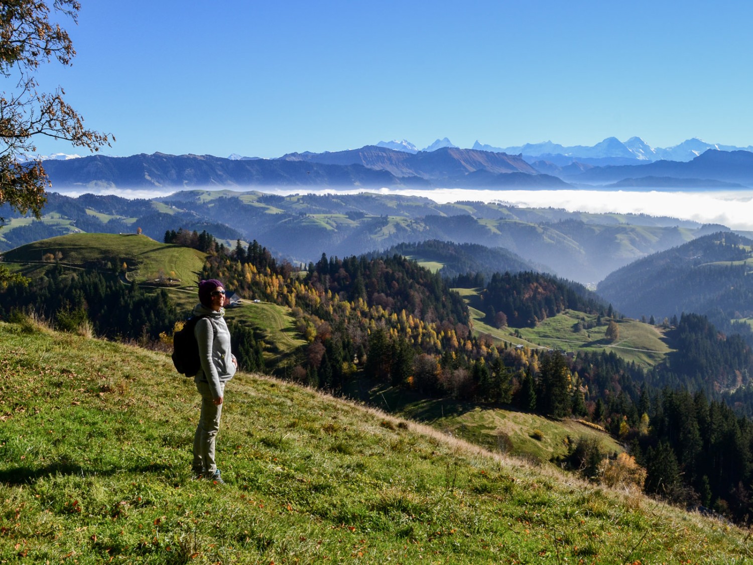 Warmes Herbstlicht beim Stauffenknubel. Bild: Sabine Joss