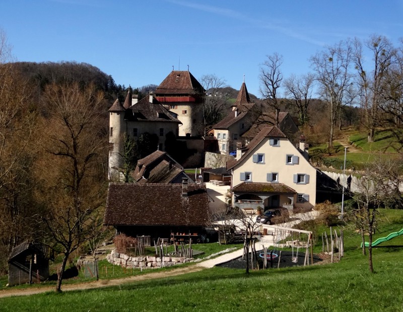 Niché entre les collines, le château de Wildenstein. 