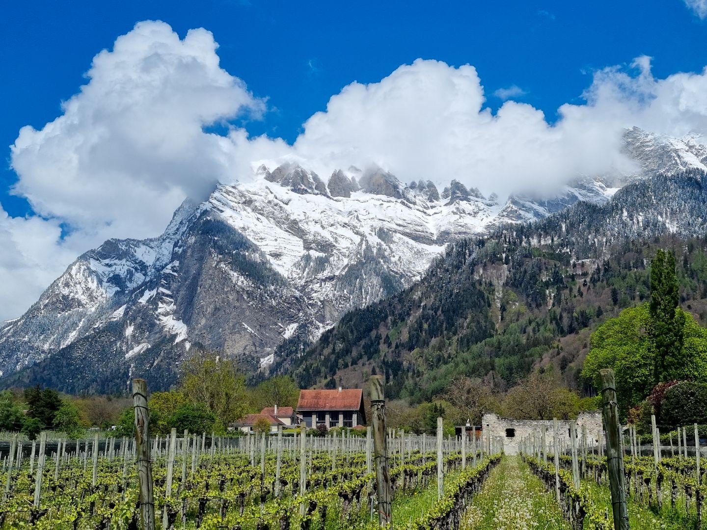 La randonnée dans la région viticole traverse plusieurs petites localités.