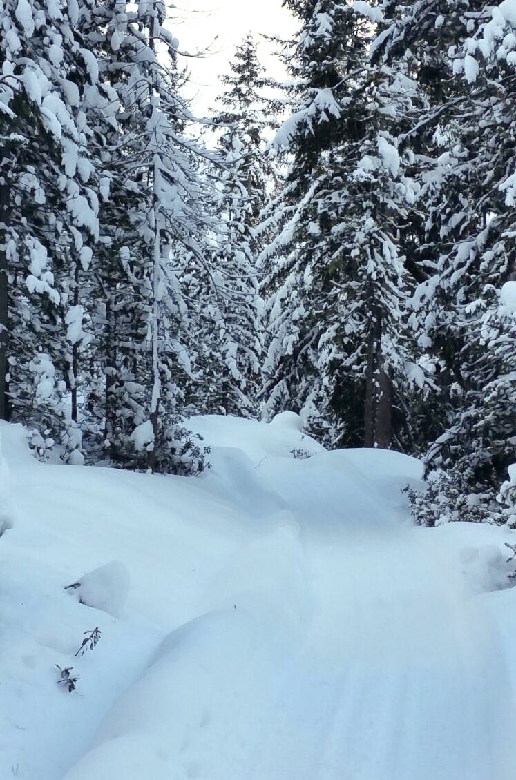 Mit Schneeschuhen und Schaufel ausgerüstet sorgt Paul Gruber für die Wege. Bild: Rémy Kappeler