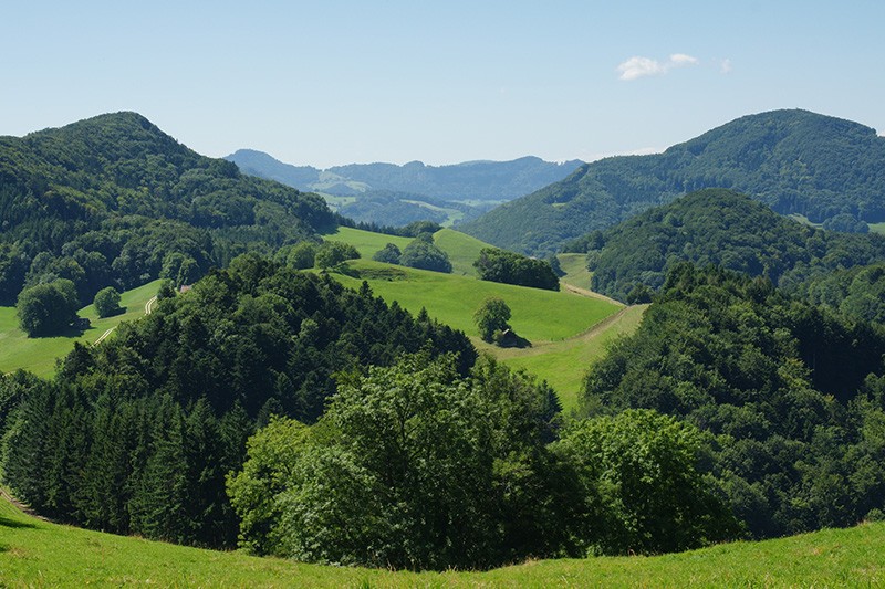 Die Wanderung endet in Moudon, einer Stadt mit frühlingshafter Lebensqualität