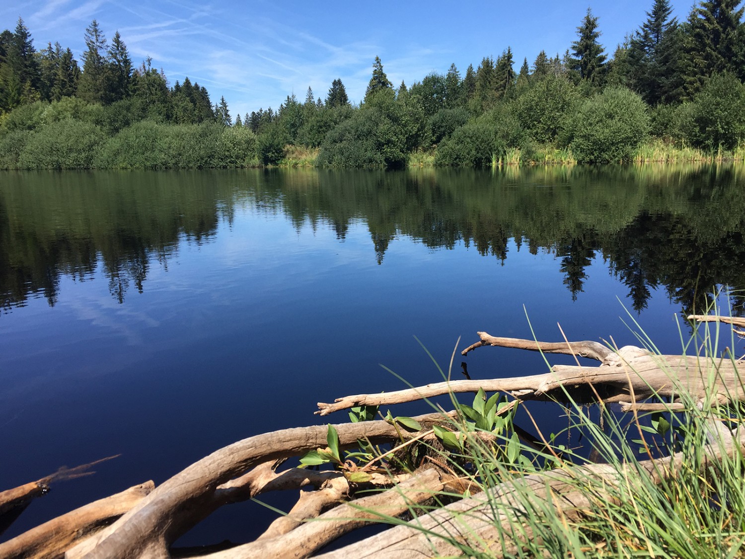 Der Etang des Royes ist weniger überlaufen als der nahe gelegene Etang de la Gruère. Bild: R. Kappeler