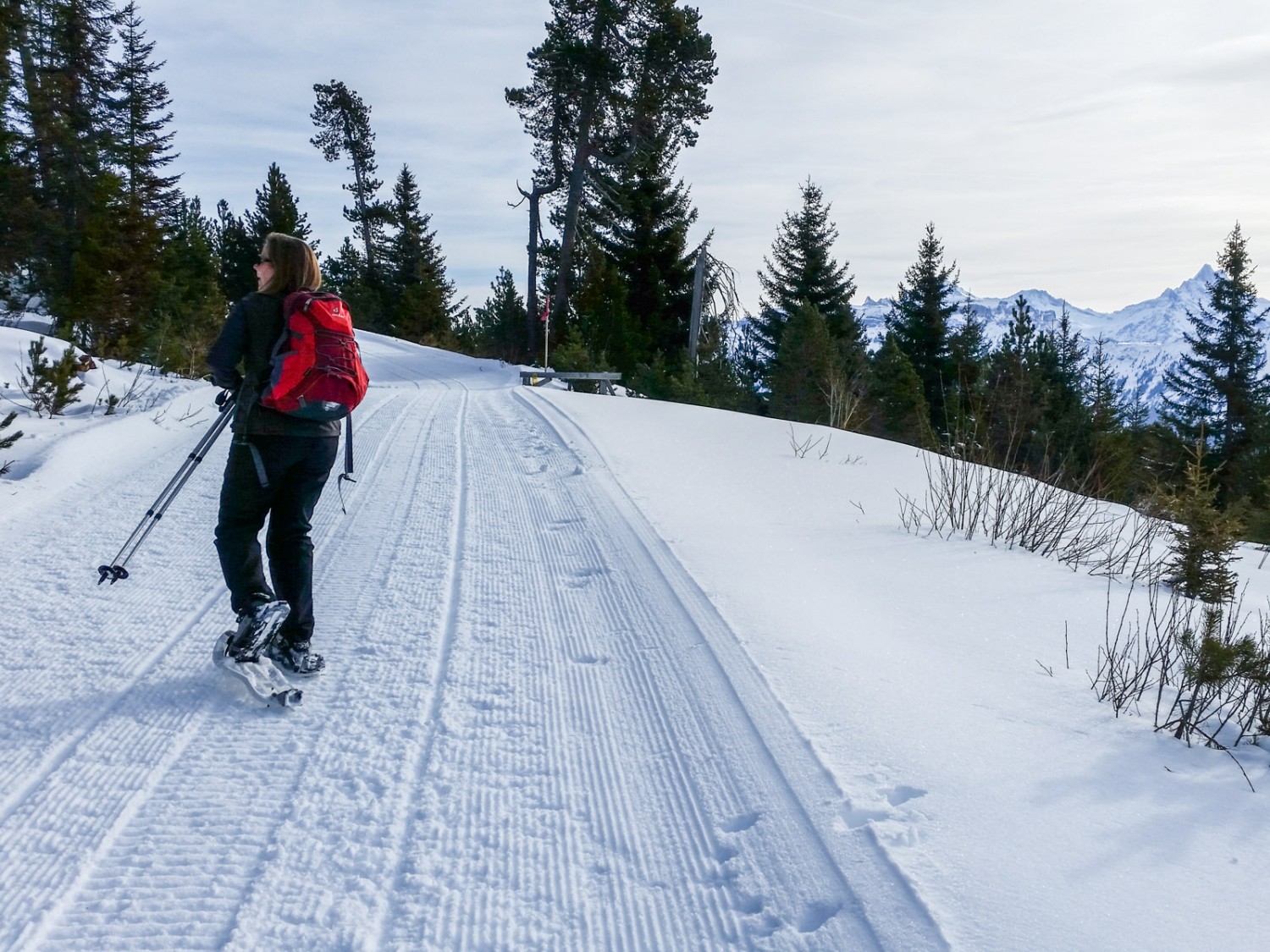 Tout d'abord, le chemin se déroule le long du sentier de randonnée d'hiver.