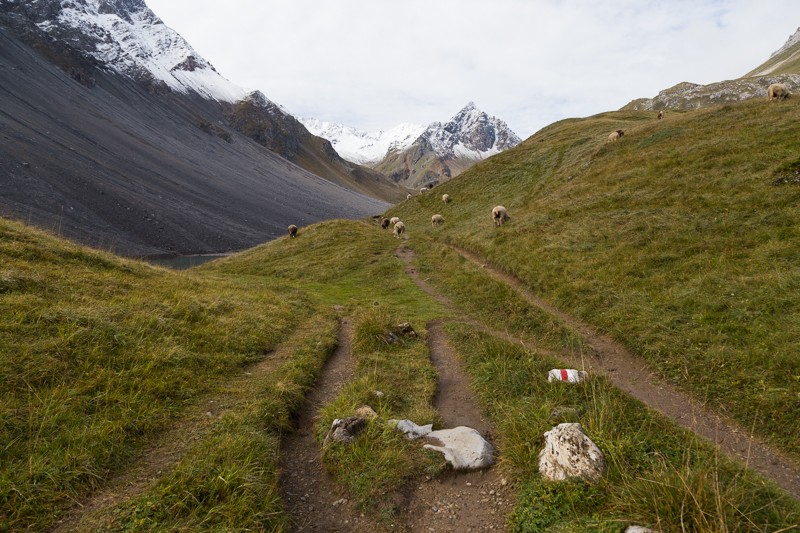 Kurz vor dem Älplisee. Bild: Markus Ruff