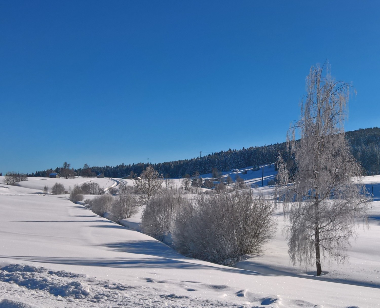 Die Landschaft ist frisch verschneit besonders reizvoll. Bild: Andreas Staeger