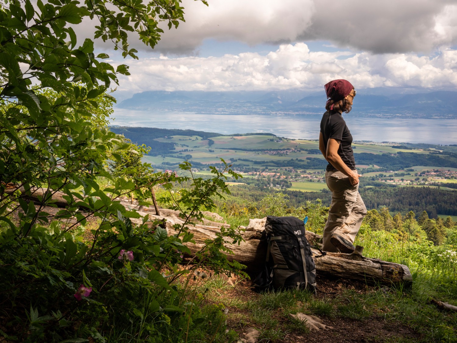 Depuis un dégagement près du Planet, la vue s’étend au loin sur le lac Léman. Photo: Severin Nowacki