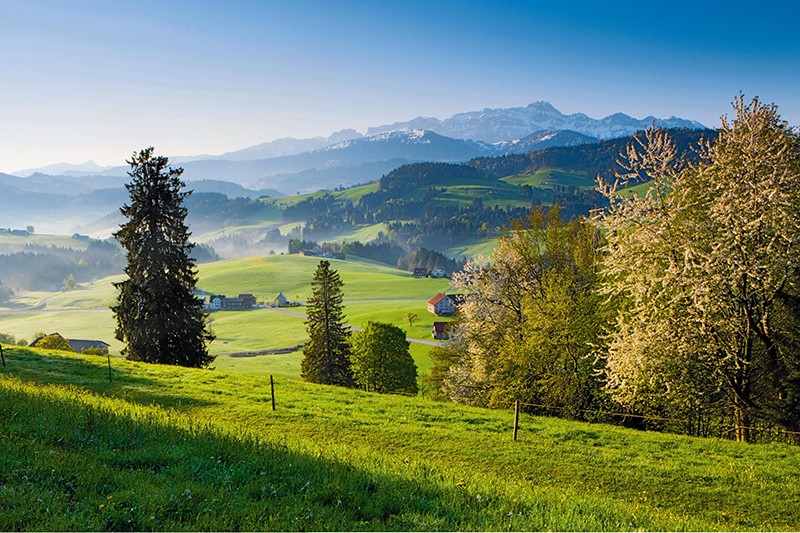 Wohltuende Weite mit Blick zum Säntis im Appenzellerland