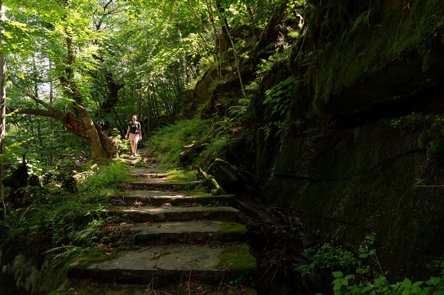 Des escaliers en pleine forêt près de Faido. Photo: Raja Läubli