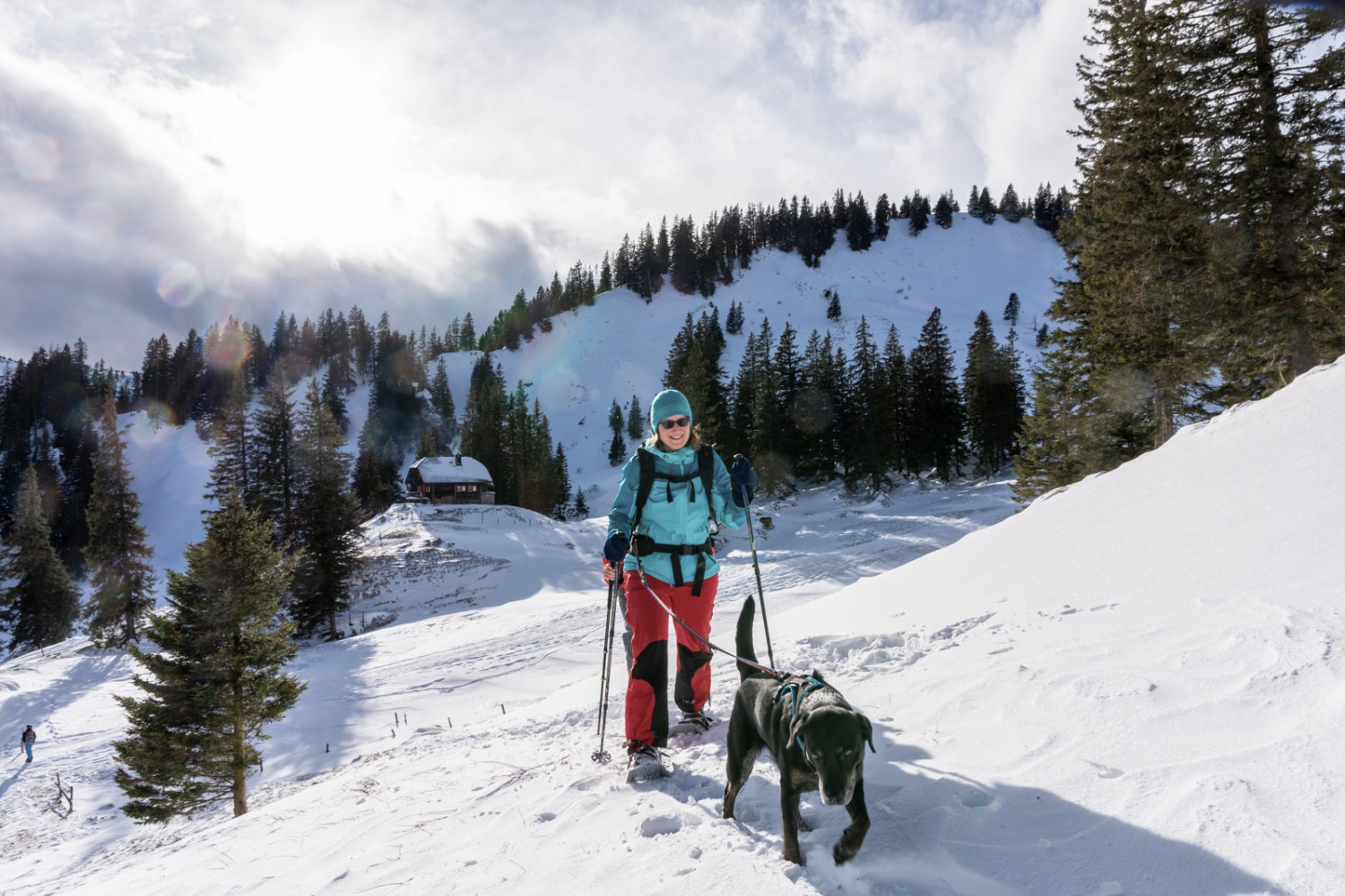 Les compagnons à quatre pattes apprécient eux aussi le soleil, la neige et l’air frais. Photo: Franz Ulrich