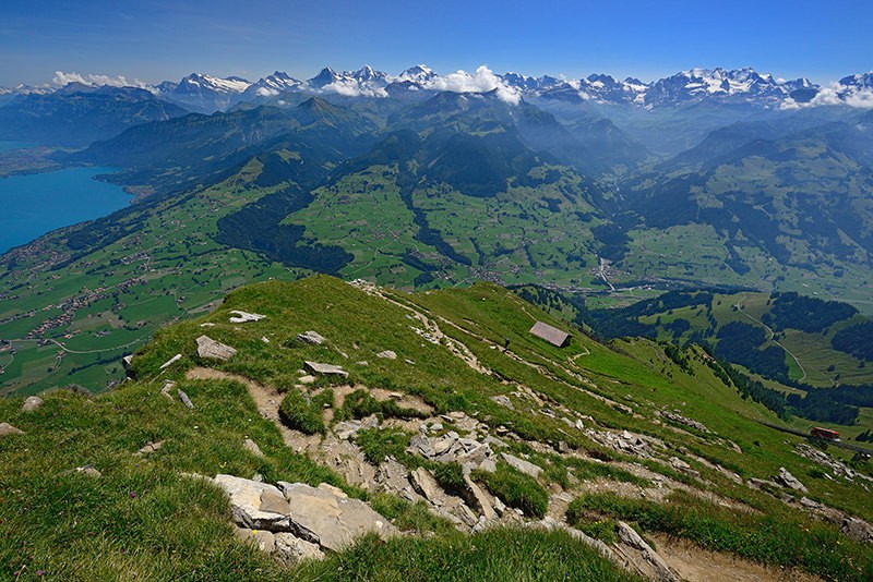 En arrière-plan, la carte postale de l’Oberland bernois. Photo: www.natur-welten.ch