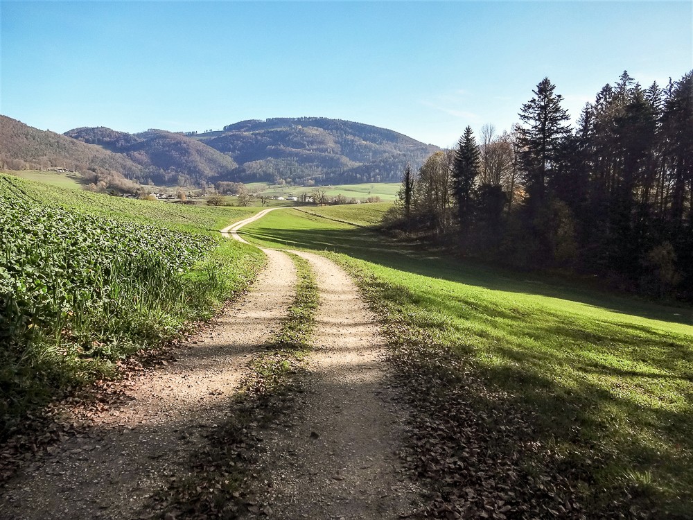 Der Weg führt nach Montsevelier. Foto: Miroslaw Halaba