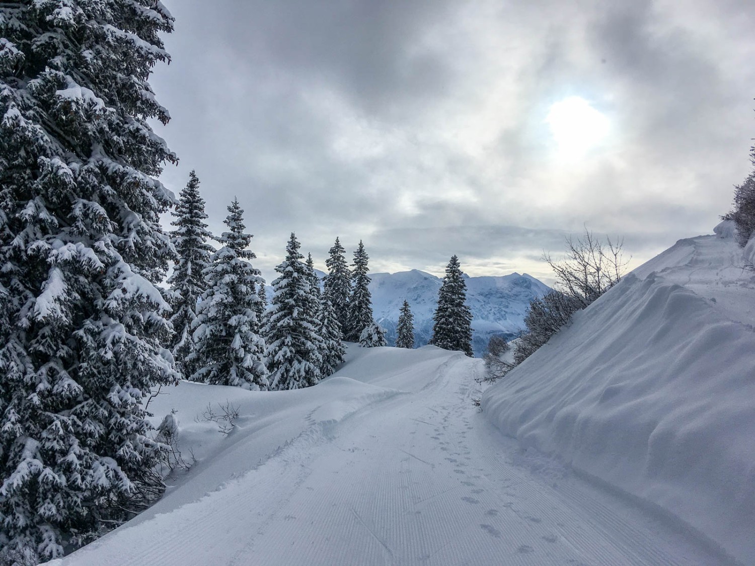 Le chemin traverse des bosquets isolés. Photo: Claudia Peter