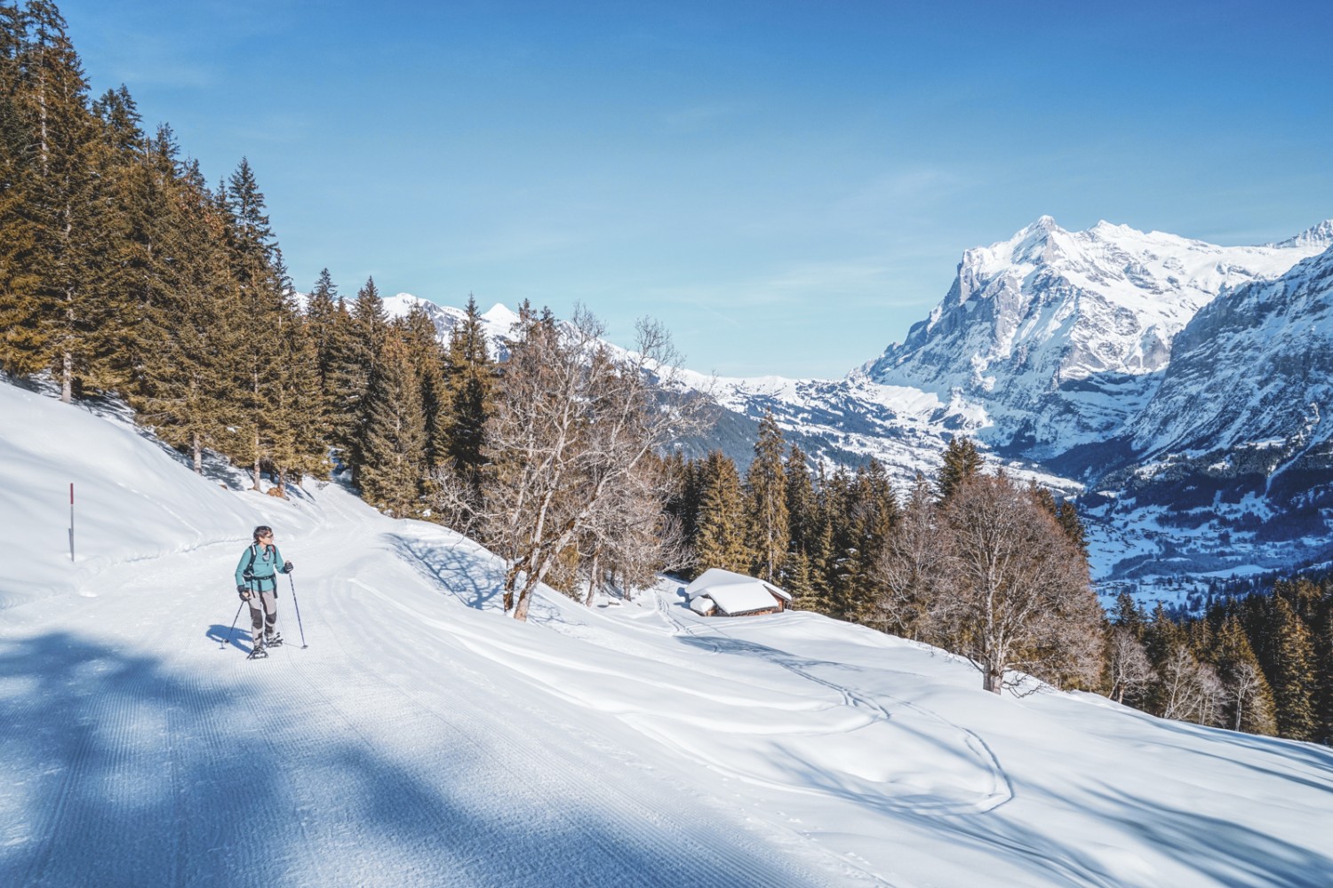 Outre l’Eiger, le Wetterhorn agrémente lui aussi le panorama. Photo: Fredy Joss