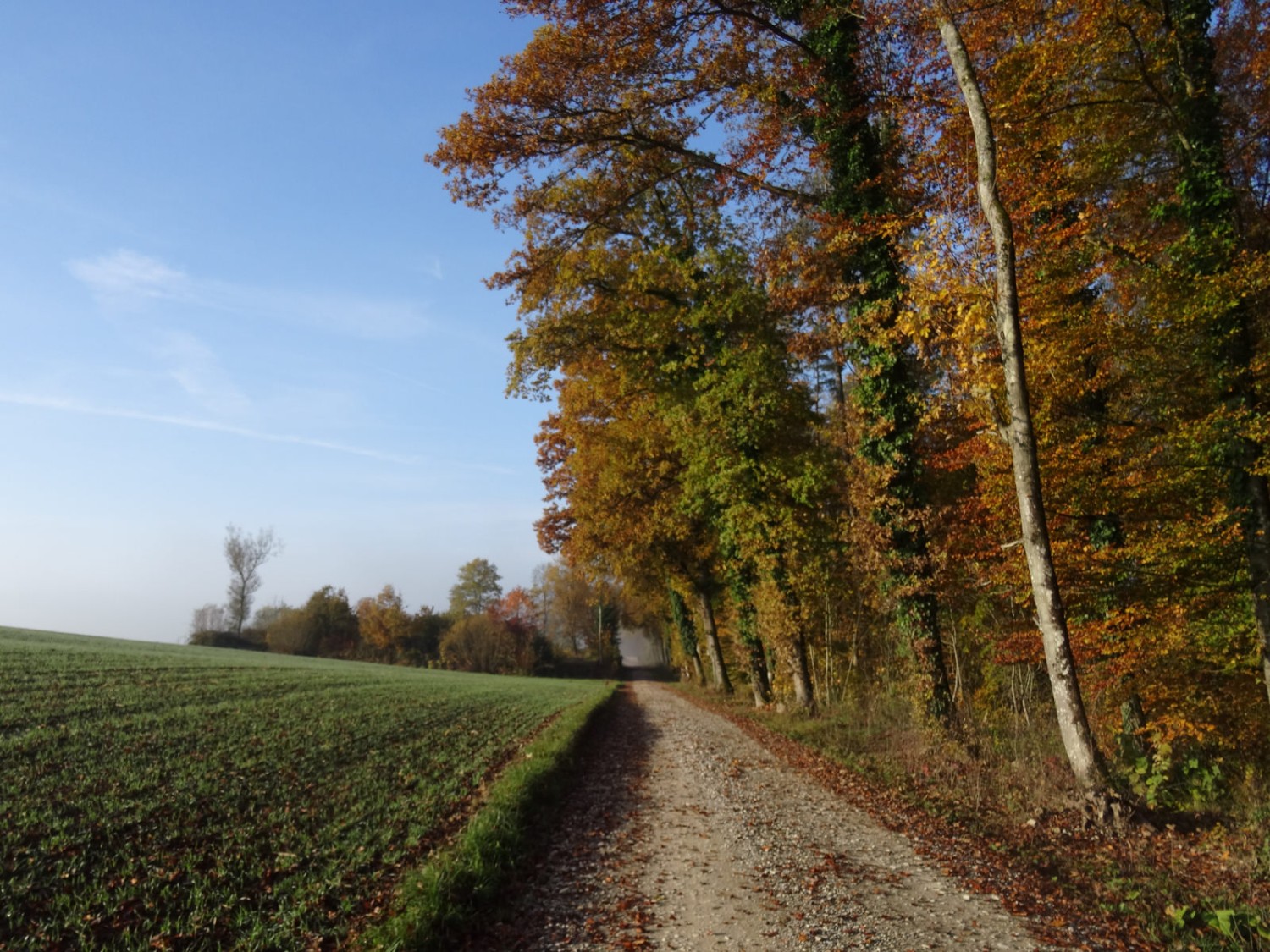 Une saison haute en couleurs: le chemin près de l’étang de Röti.