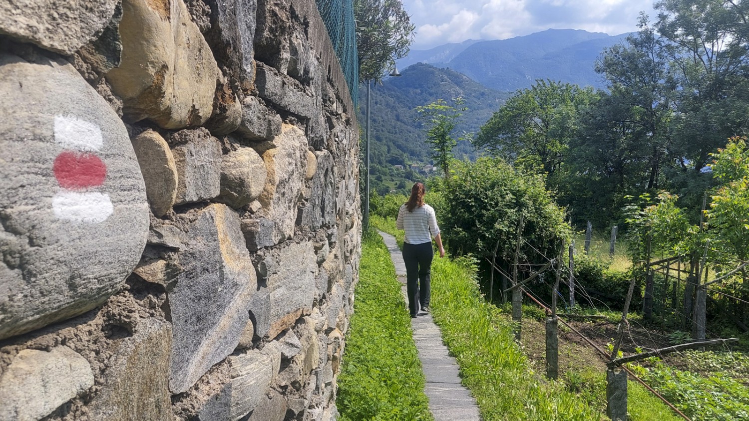 Vom Bahnhof Intragna führt der Weg durch Rebberge hinunter zum Fluss. Bild: Tatjana Häuselmann