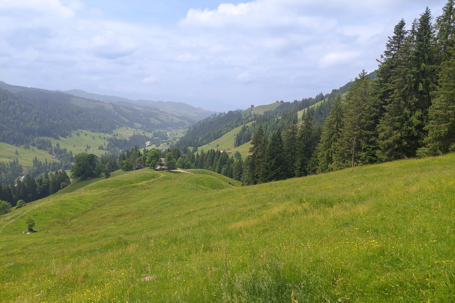 Beim Aufstieg öffnet sich eine schöne Aussicht auf die umliegenden Wiesen, Hügel und Wälder. Bild: Tatjana Häuselmann