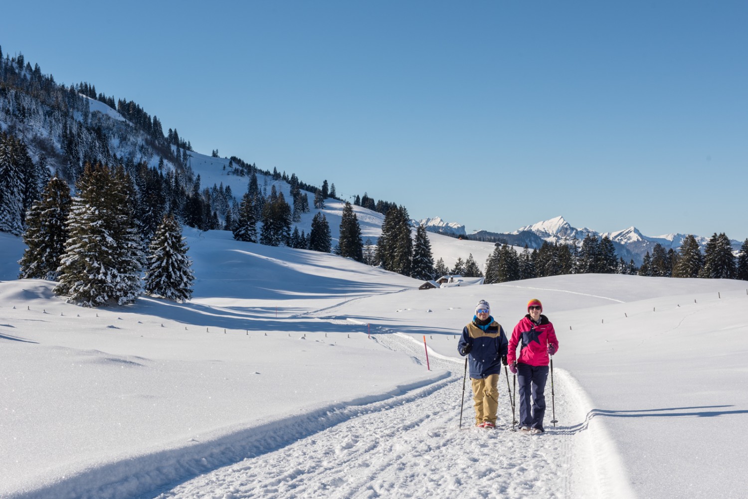 Auf dem Weg zum Gamperfinboden gibt es in beiden Richtungen viel Bergsicht; im Hintergrund Gulmen und Speer. Bild: Toggenburg Tourismus