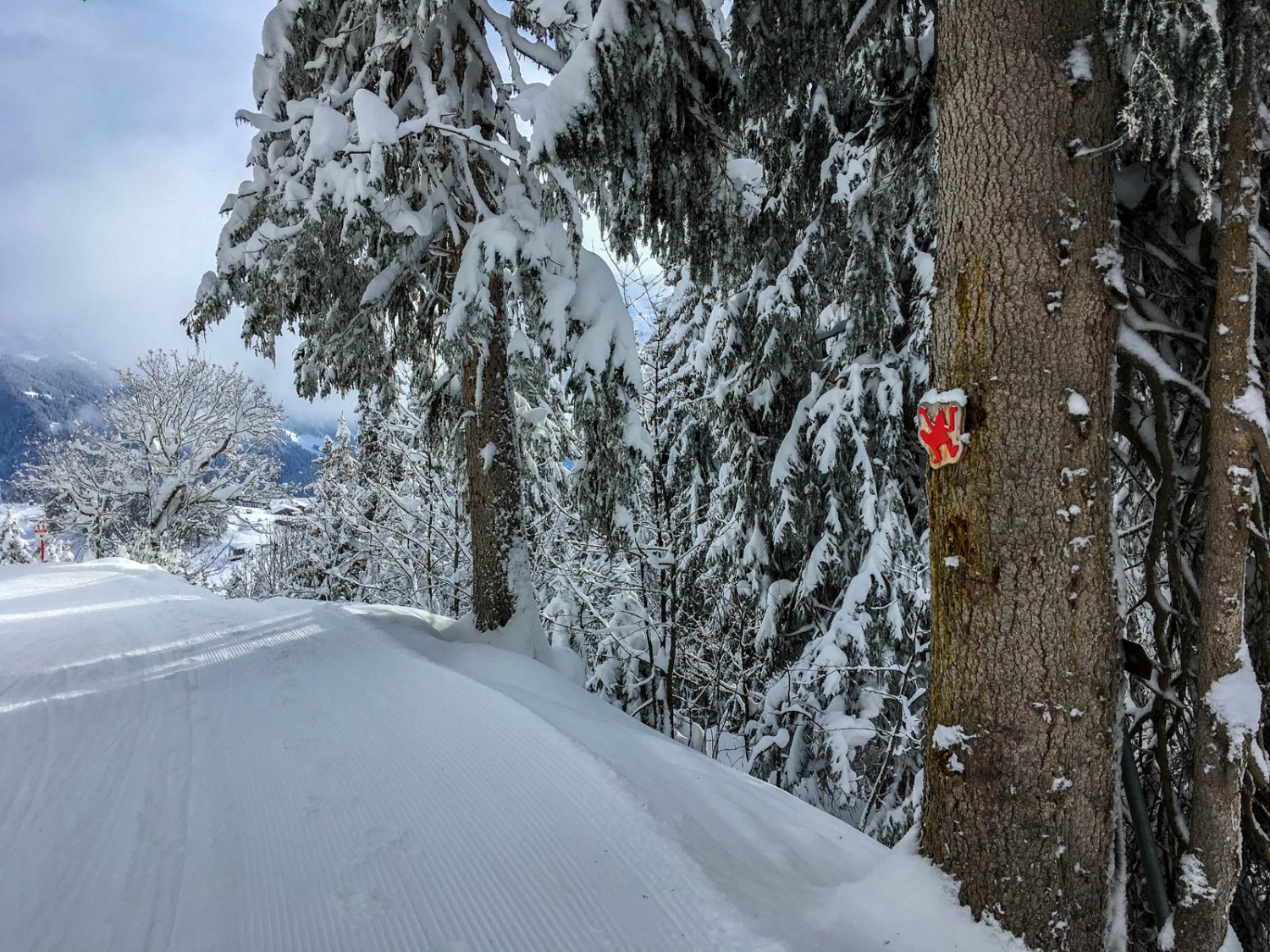 Le logo rouge du nain Bartli passe presque inaperçu en hiver. Photo: Claudia Peter