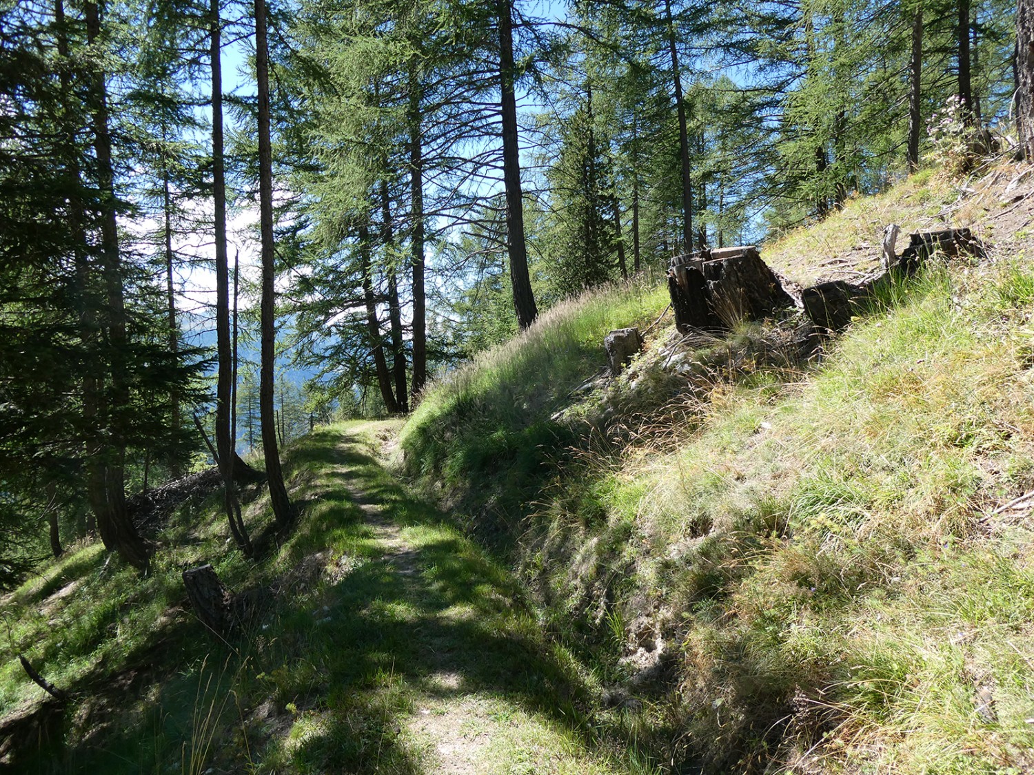 Le long de bisses asséchés.