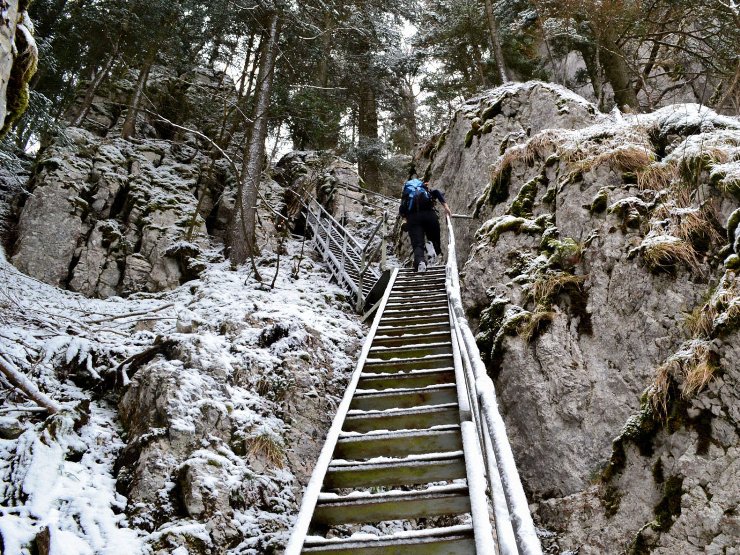 Sur les echelles du Graitery. Photo: Sabine Joss