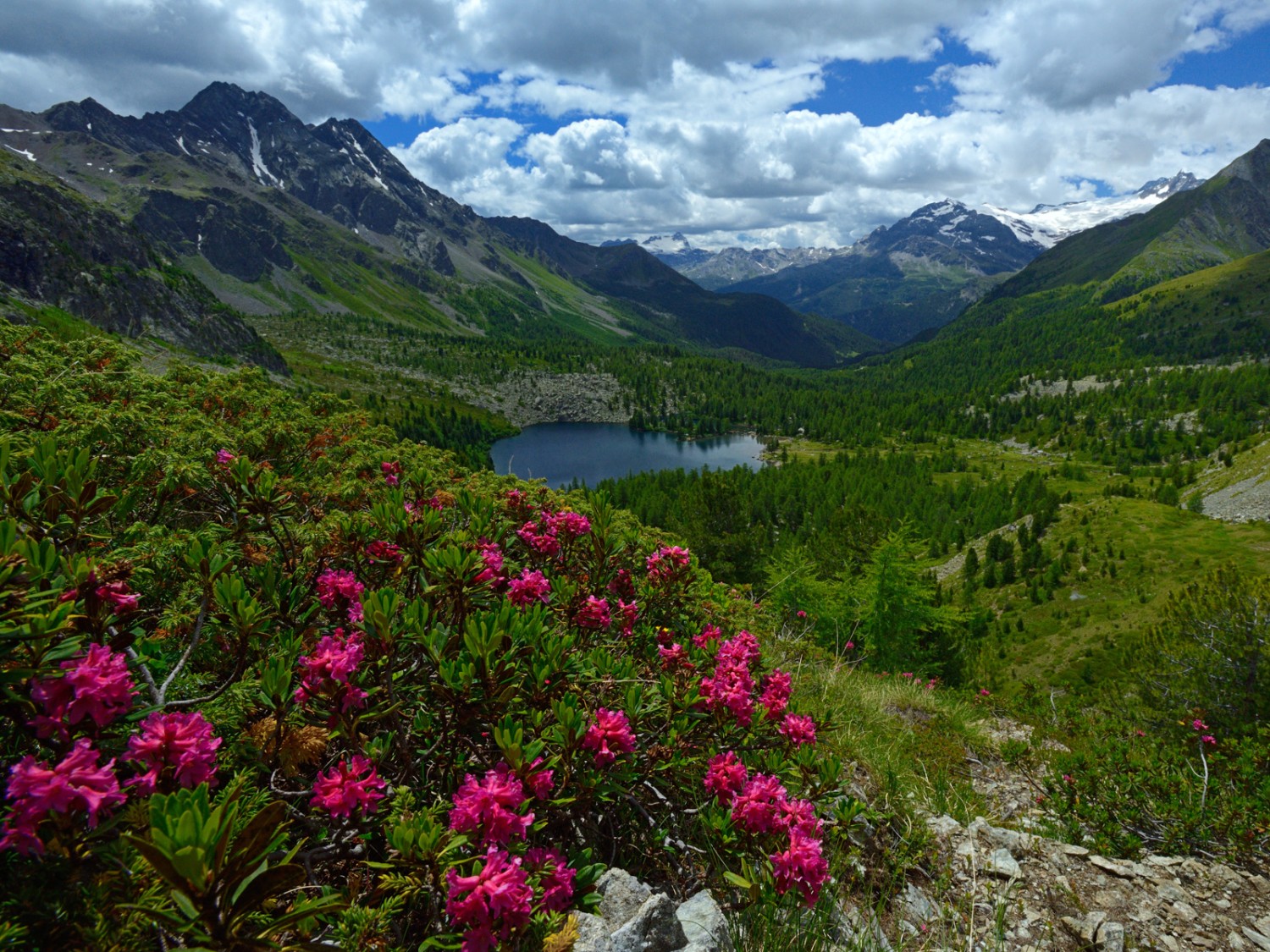 So viele Farben… Der Blick auf den Lagh da Val Viola verzaubert. Bild: natur-welten.ch