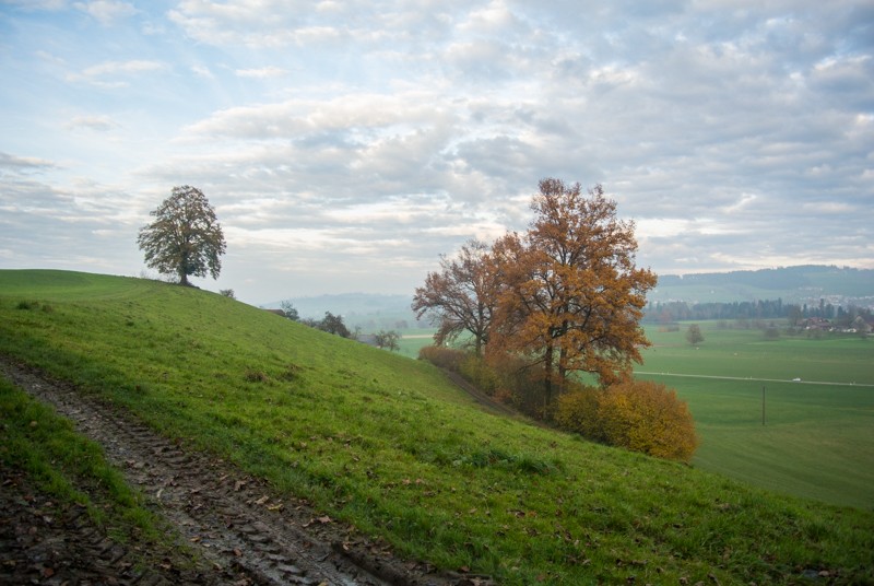 Un arrière-pays paisible. Photo: Vera In-Albon