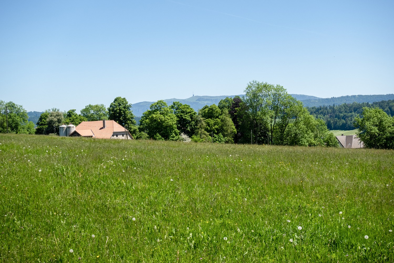 Von einer Anhöhe kurz vor La Chaux-de-Fonds sieht man bis zum Chasseral.