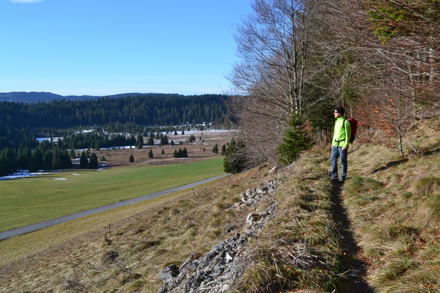 Ausblick über das Hochmoor Mouille de la Vraconnaz. Bild: Sabine Joss