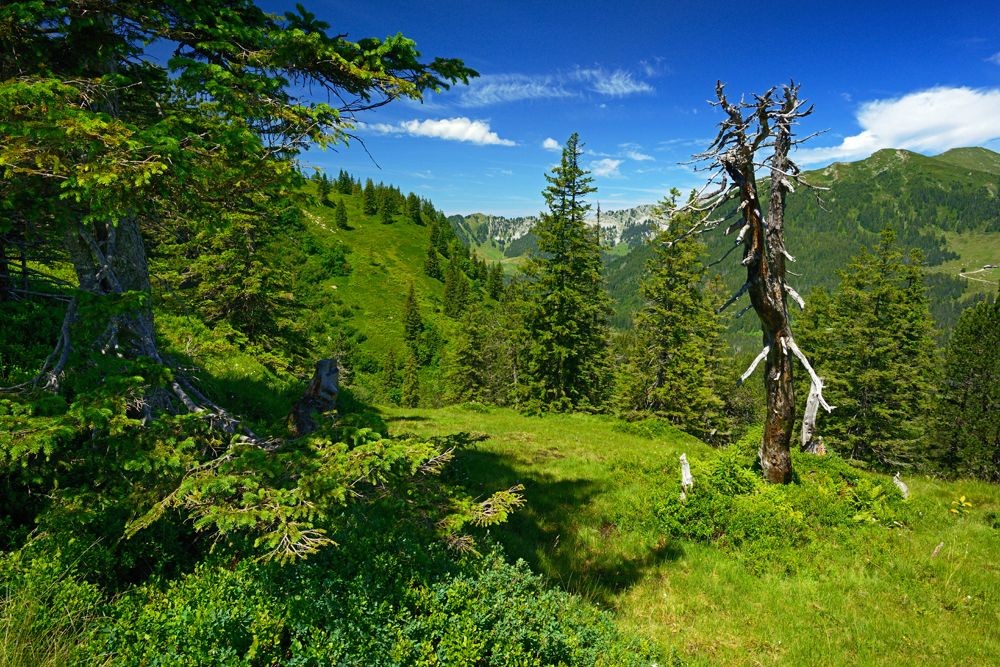 Aussicht von der Miesenegg.