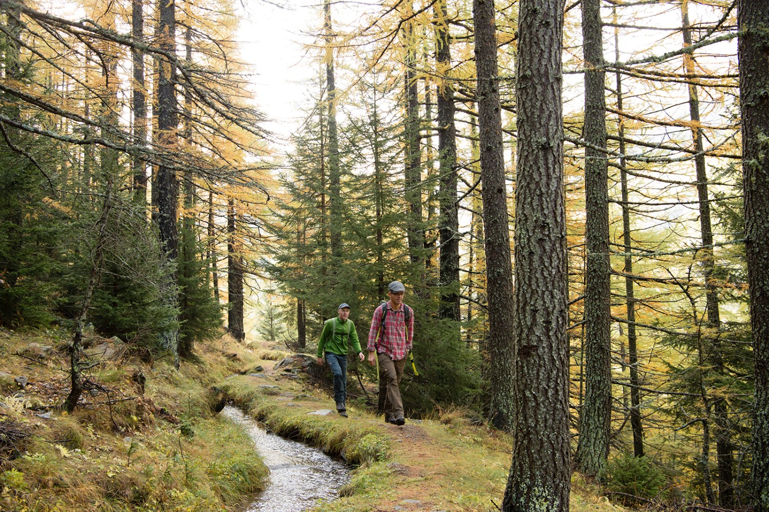 Le bisse de Chrummbacheri, au-dessus de Simplon Dorf. Photos: Raja Läubli