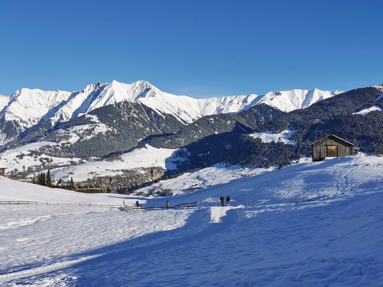 Bei Davos Munts, im Hintergrund die Signinagruppe