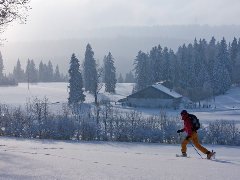 Querfeldein in den Freibergen. Bild: Jura Tourisme