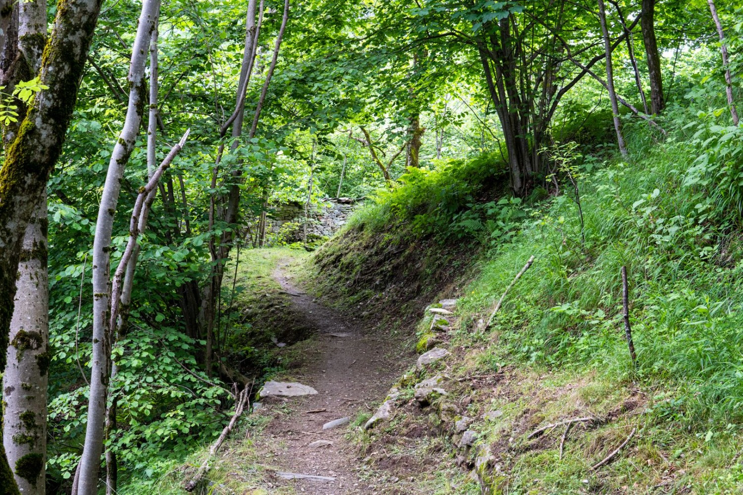 Montée par des chemins de terre