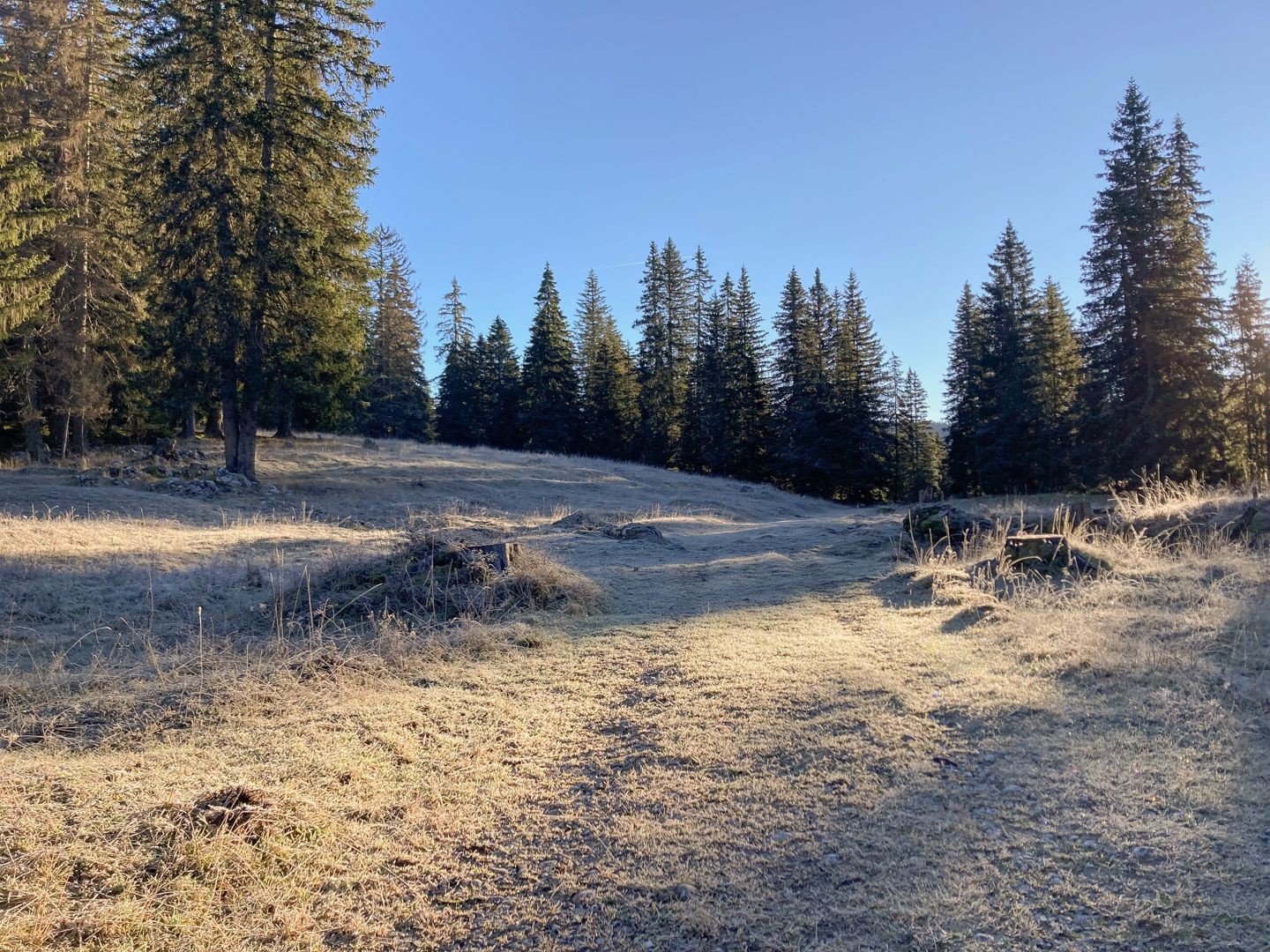 Paysage jurassien dans la montée vers le Mont Tendre