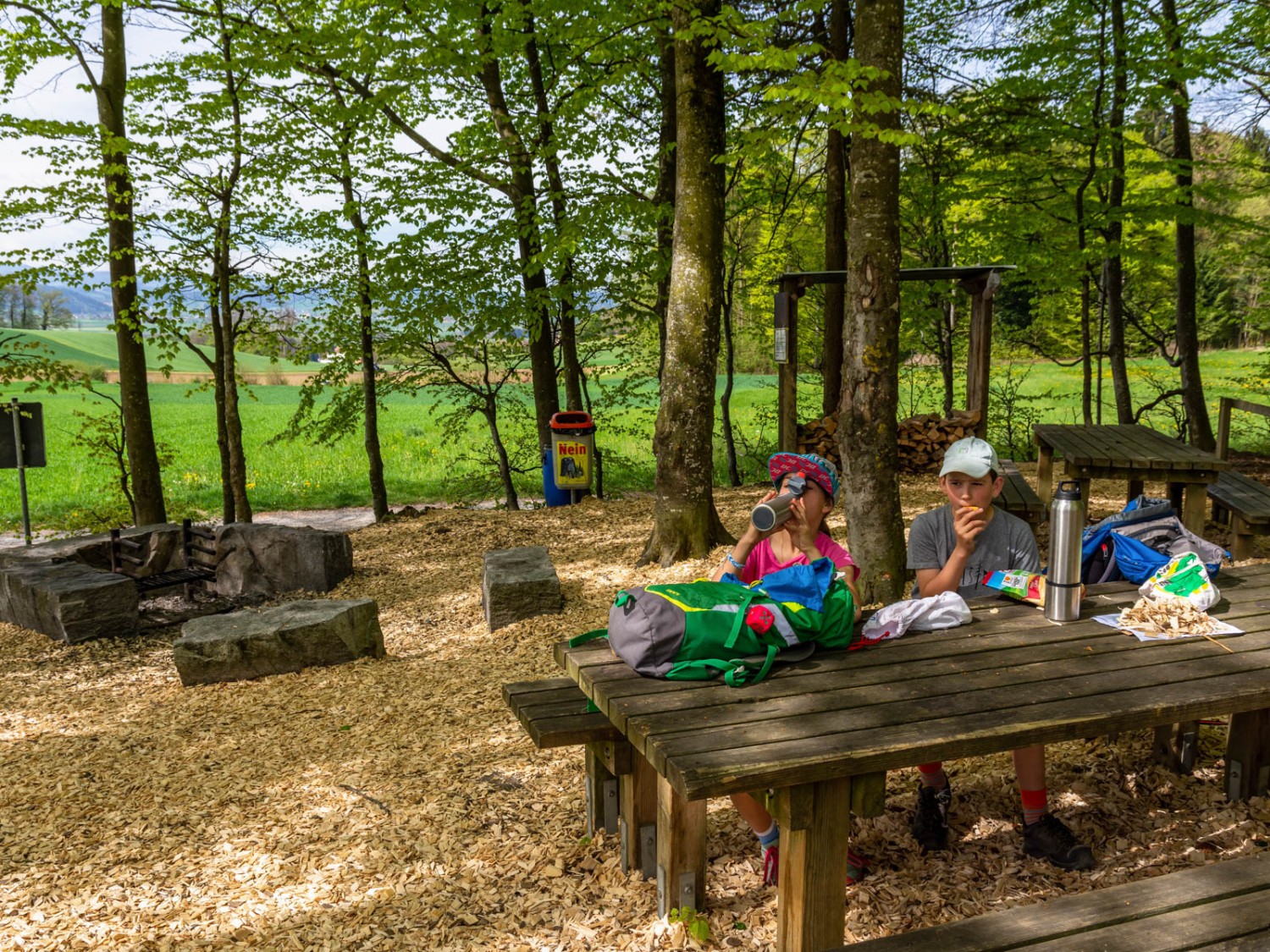 Beim Pfarrwald ob St. Erhard wartet ein lauschiges Plätzchen auf Besucher. Foto: Franz Ulrich