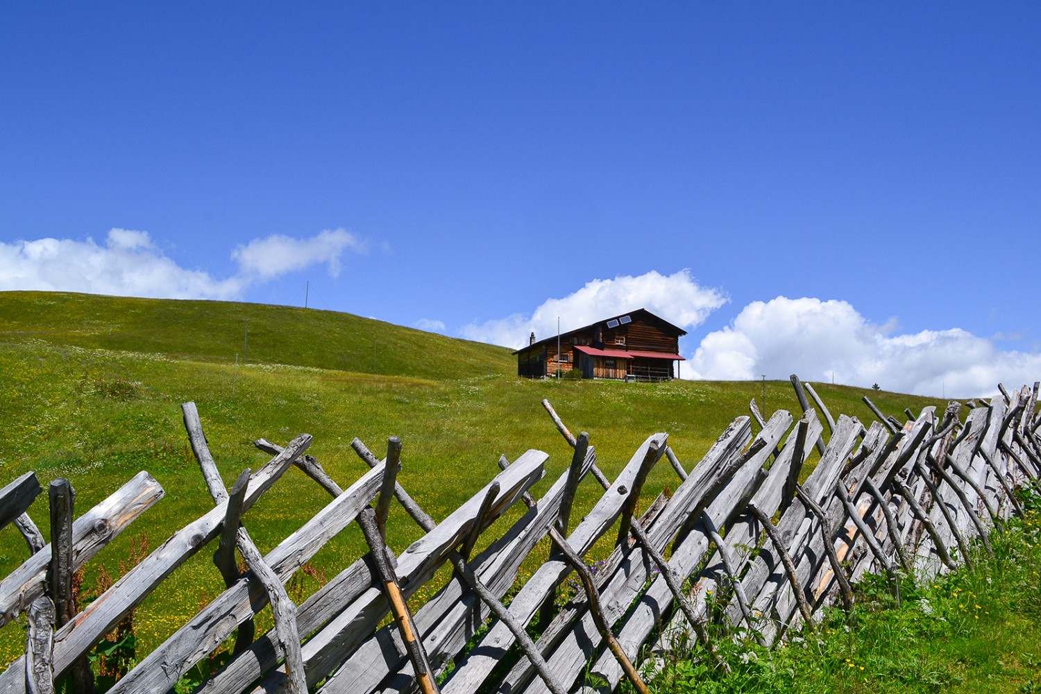 Die dekorativen Schrägzäune fügen sich wie Kunstwerke in die Landschaft ein.