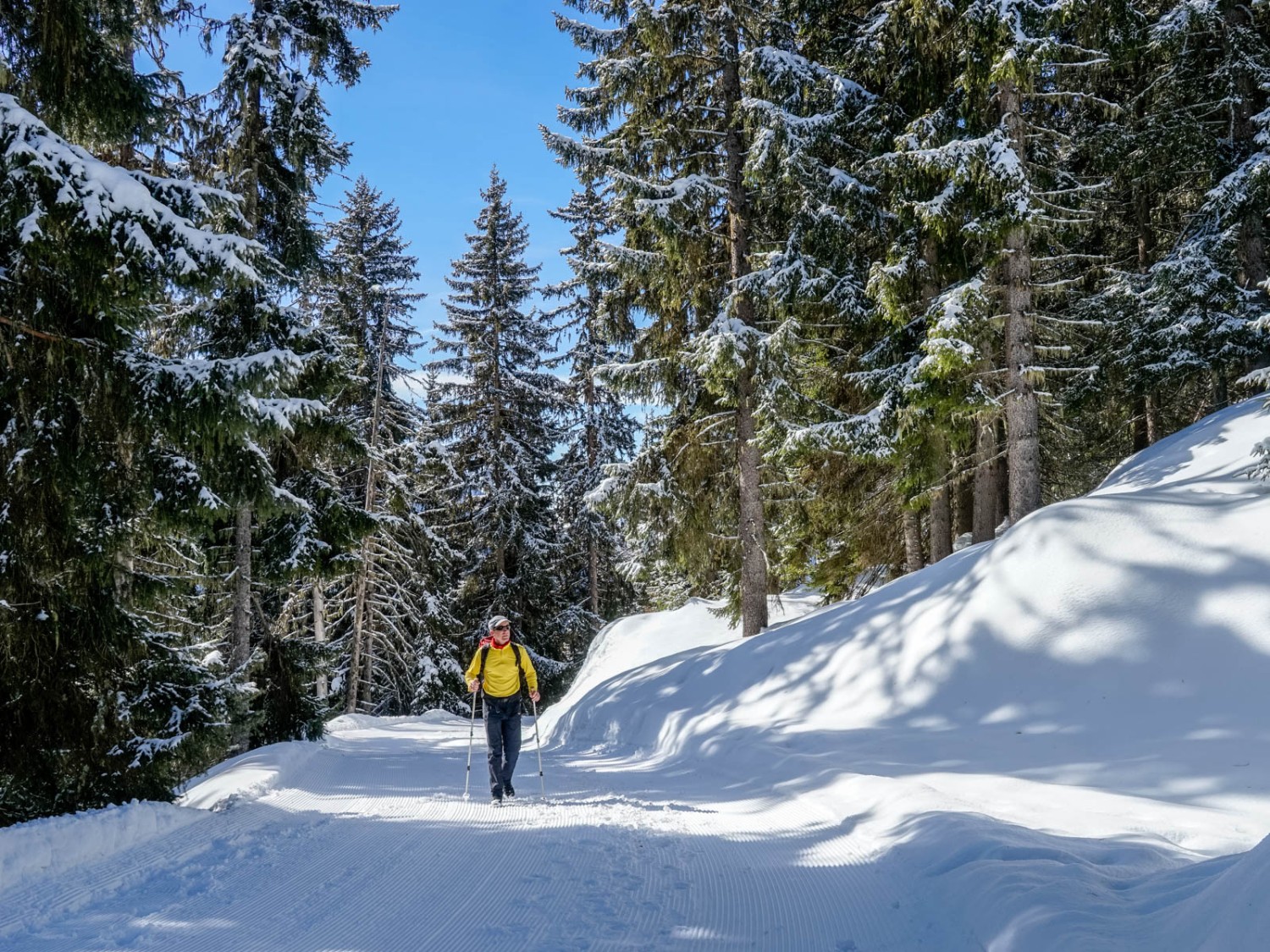 Ein lauschiger Waldabschnitt etwa in der Hälfte des Aufstiegs.